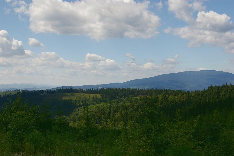 IMGP1164.jpg