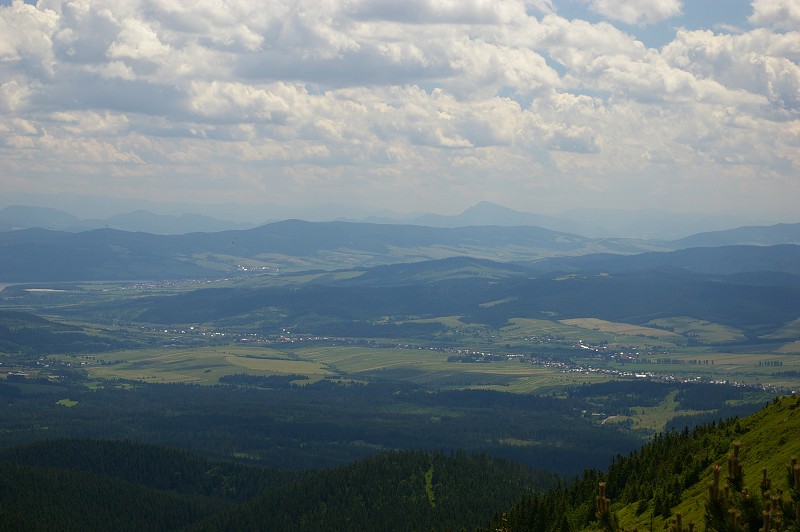 IMGP1253.jpg