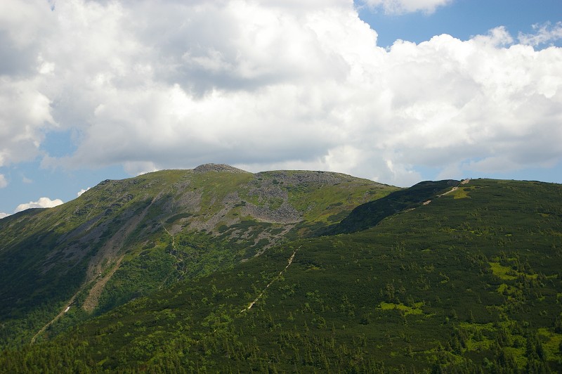 IMGP1259.jpg