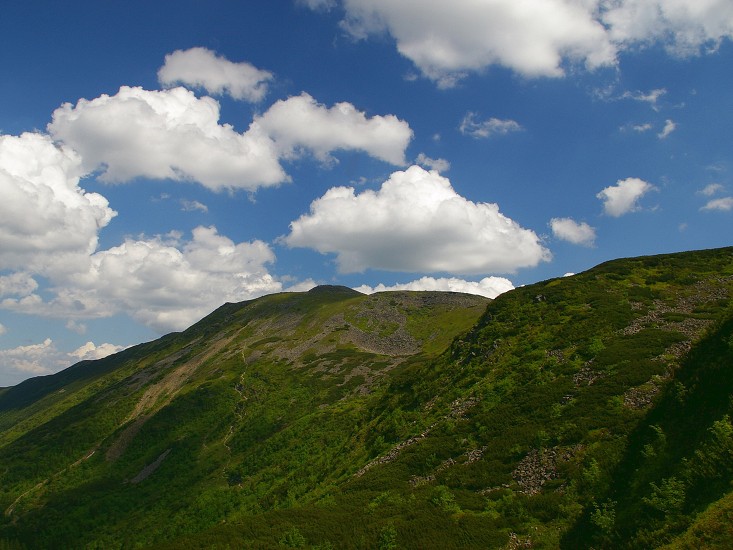 IMGP1287.jpg