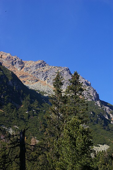 IMGP2608.jpg