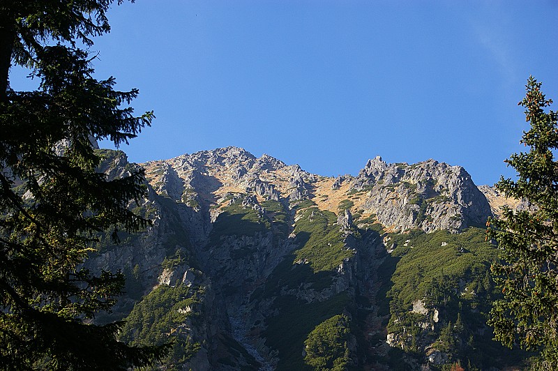 IMGP2609.jpg