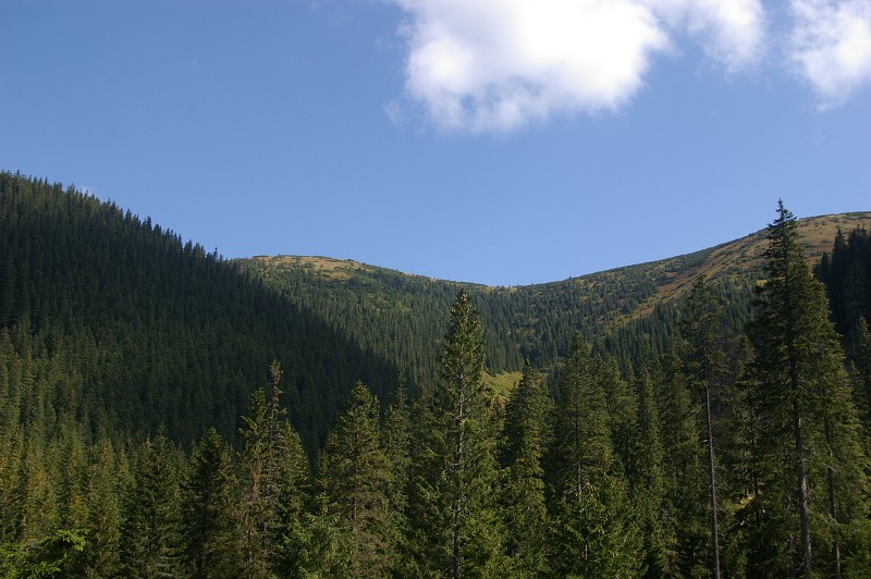IMGP2083.jpg