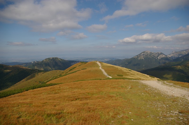 IMGP2215.jpg