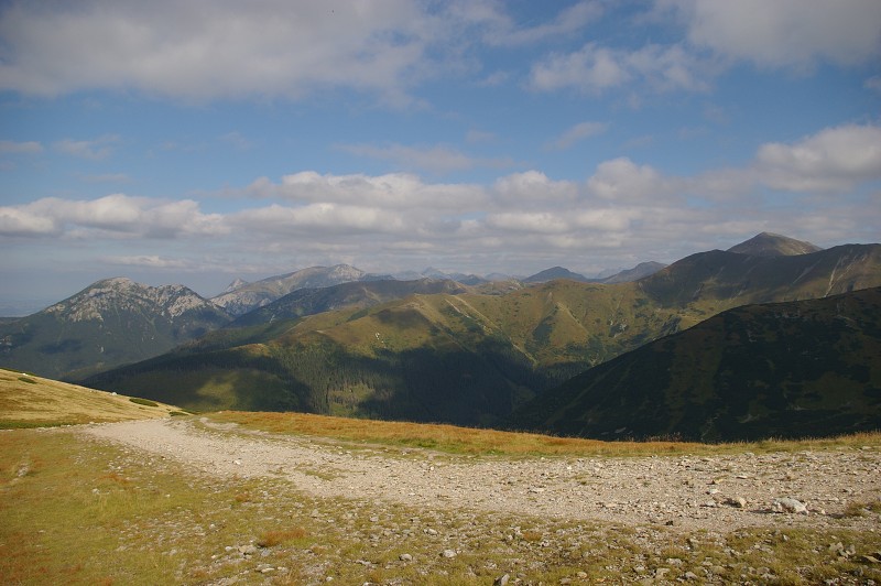 IMGP2216.jpg