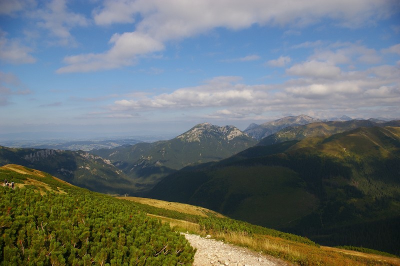 IMGP2224.jpg