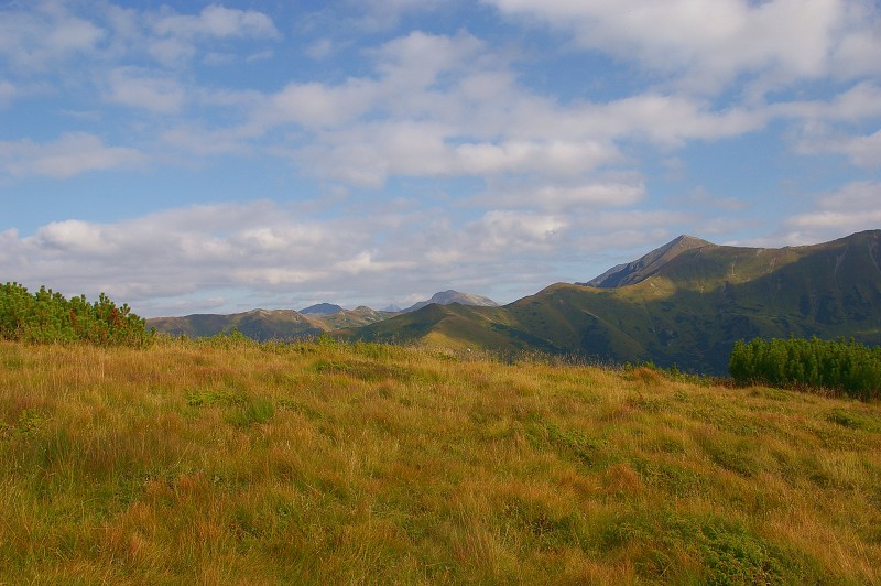 IMGP2241.jpg
