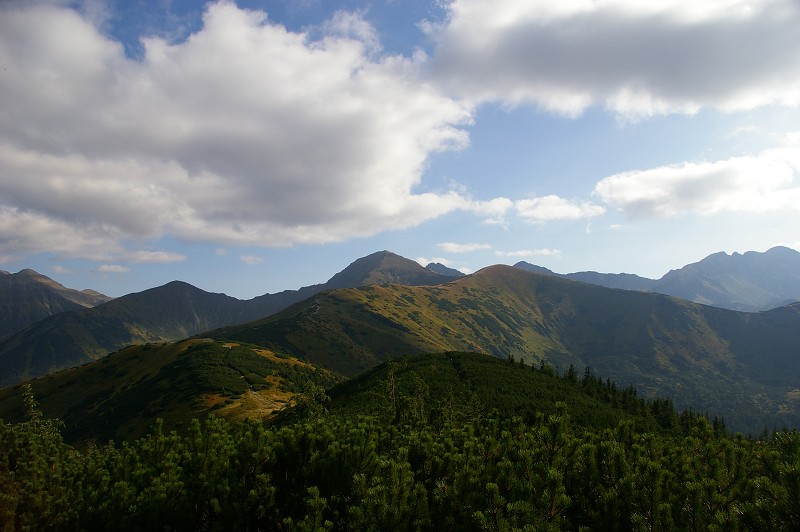 IMGP2243.jpg