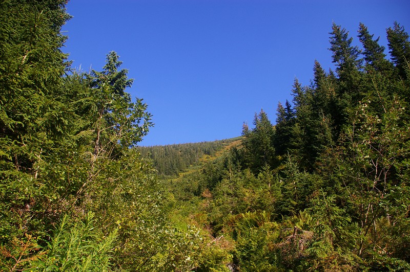 IMGP2249.jpg