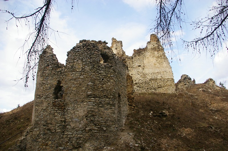 IMGP0516.jpg