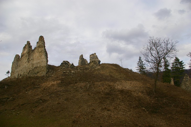 IMGP0525.jpg