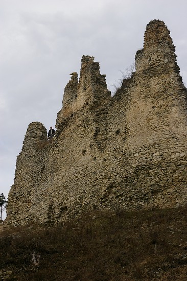 IMGP0528.jpg