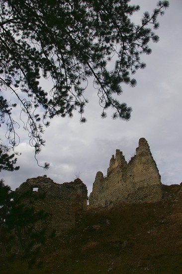 IMGP0530.jpg