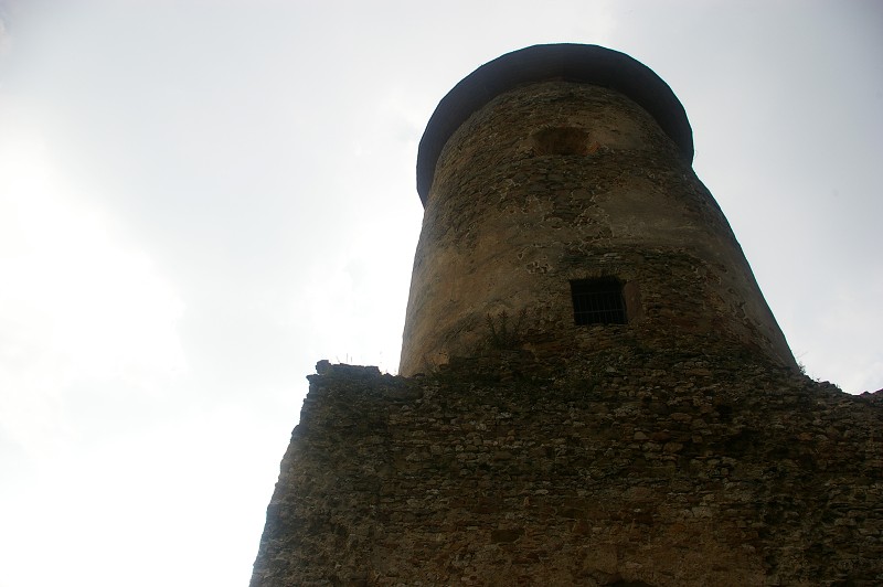 IMGP1838.jpg