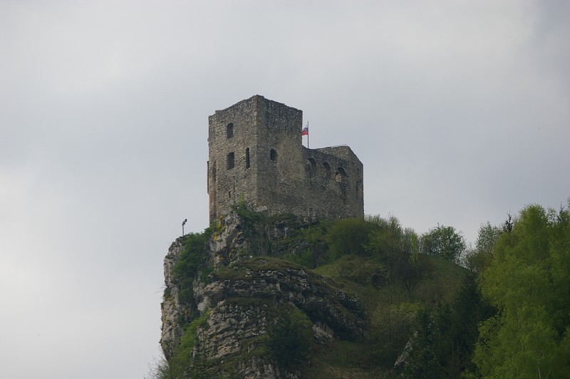 IMGP0833.jpg