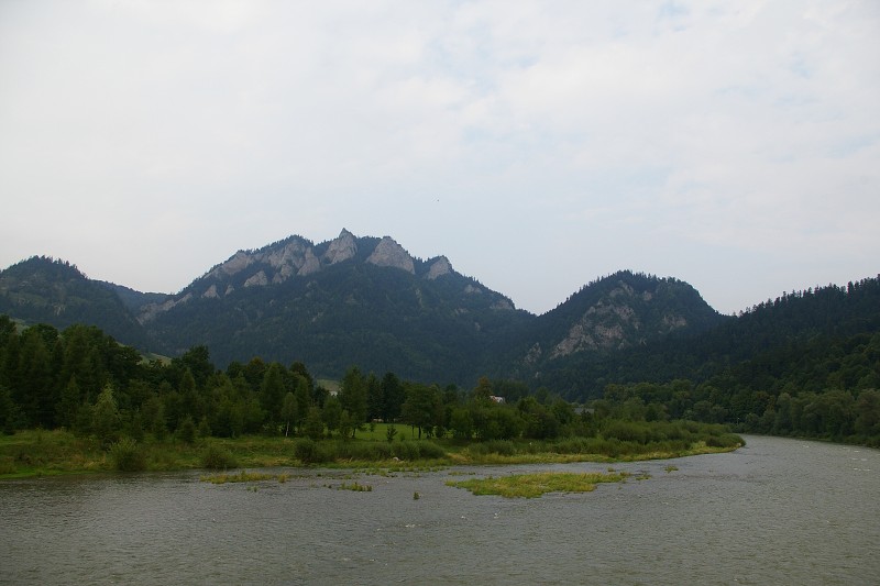 IMGP1698.jpg