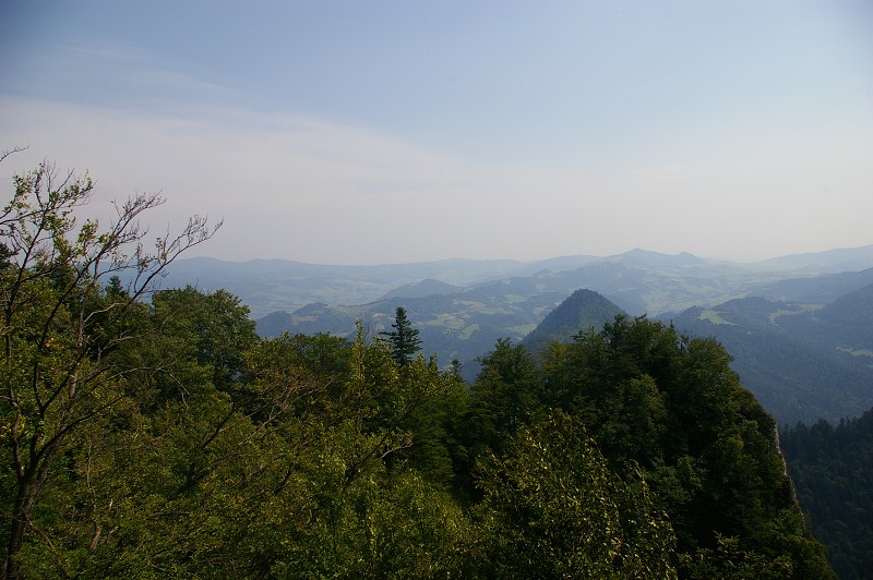 IMGP1945.jpg