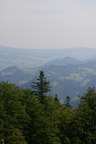 IMGP1947.jpg