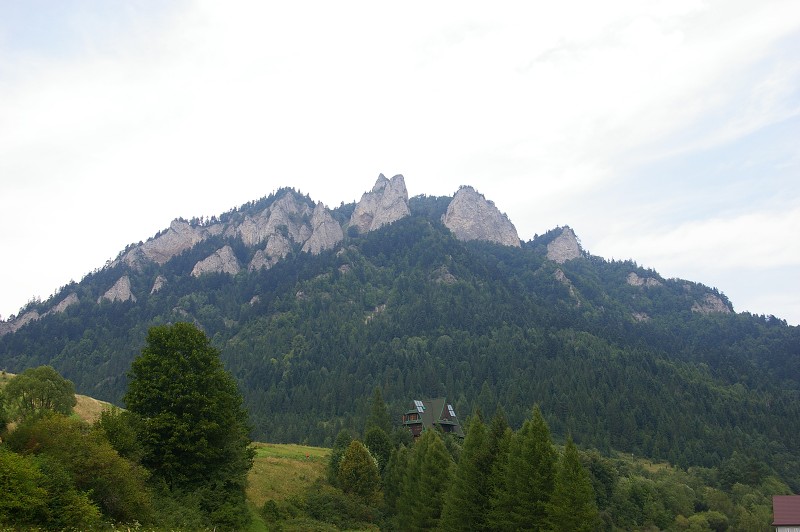 IMGP1997.jpg